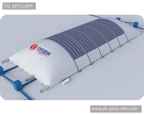 沼气VS可再生能源的未来发展与环境影响的深度探讨